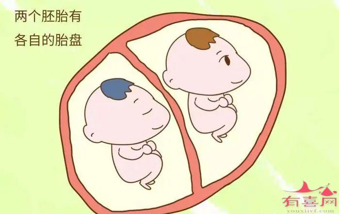 第一个做借卵试管婴儿出生于哪一年