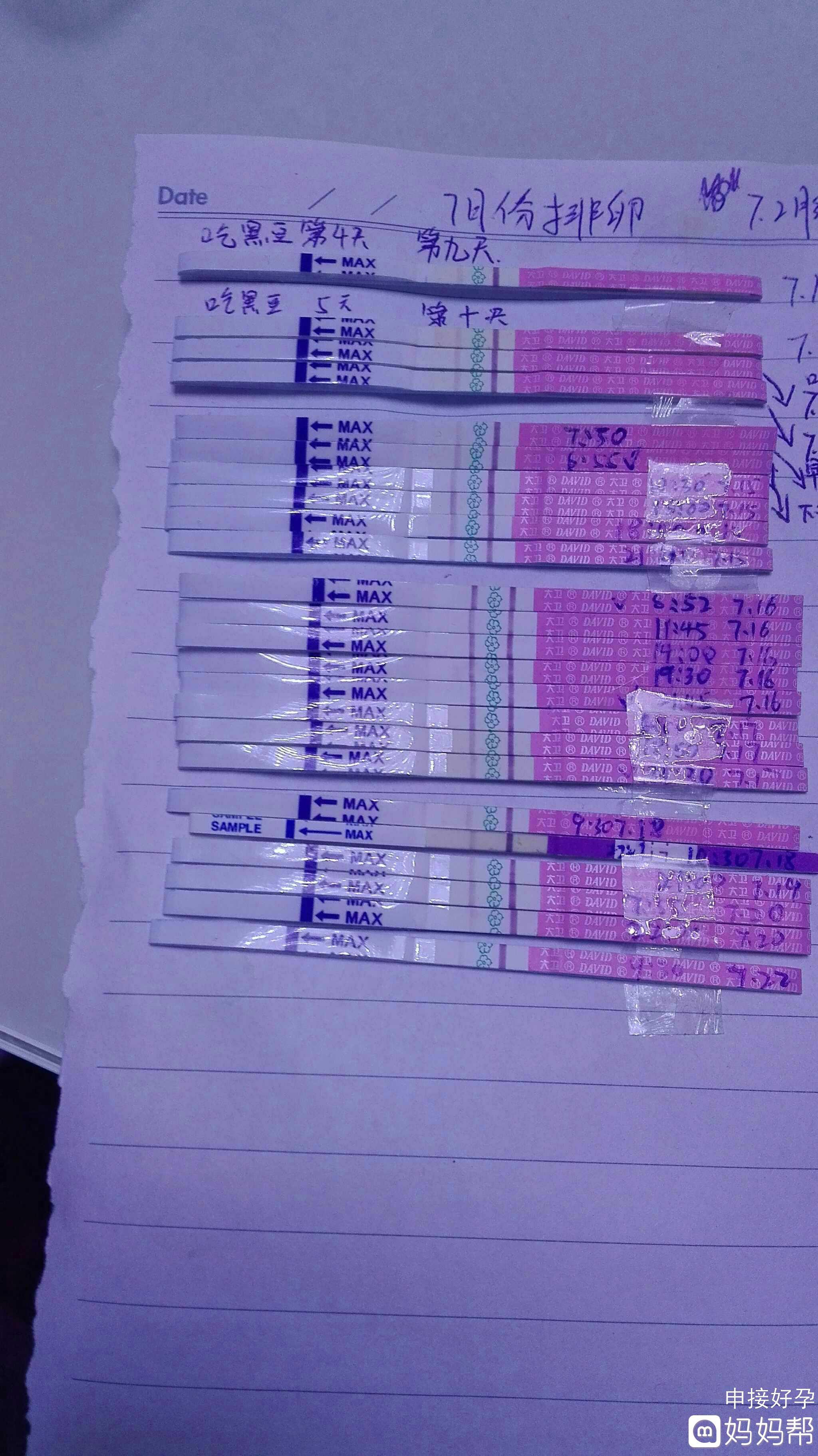 第一个做借卵试管婴儿出生于哪一年