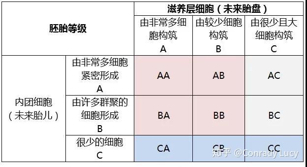 试管能选择双胞胎吗