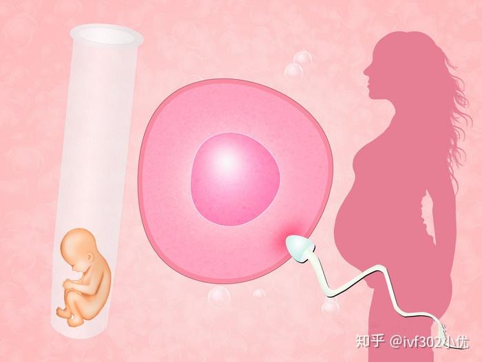 46岁可以做辽宁哪有试管代怀吗+46岁做试管婴能成功吗