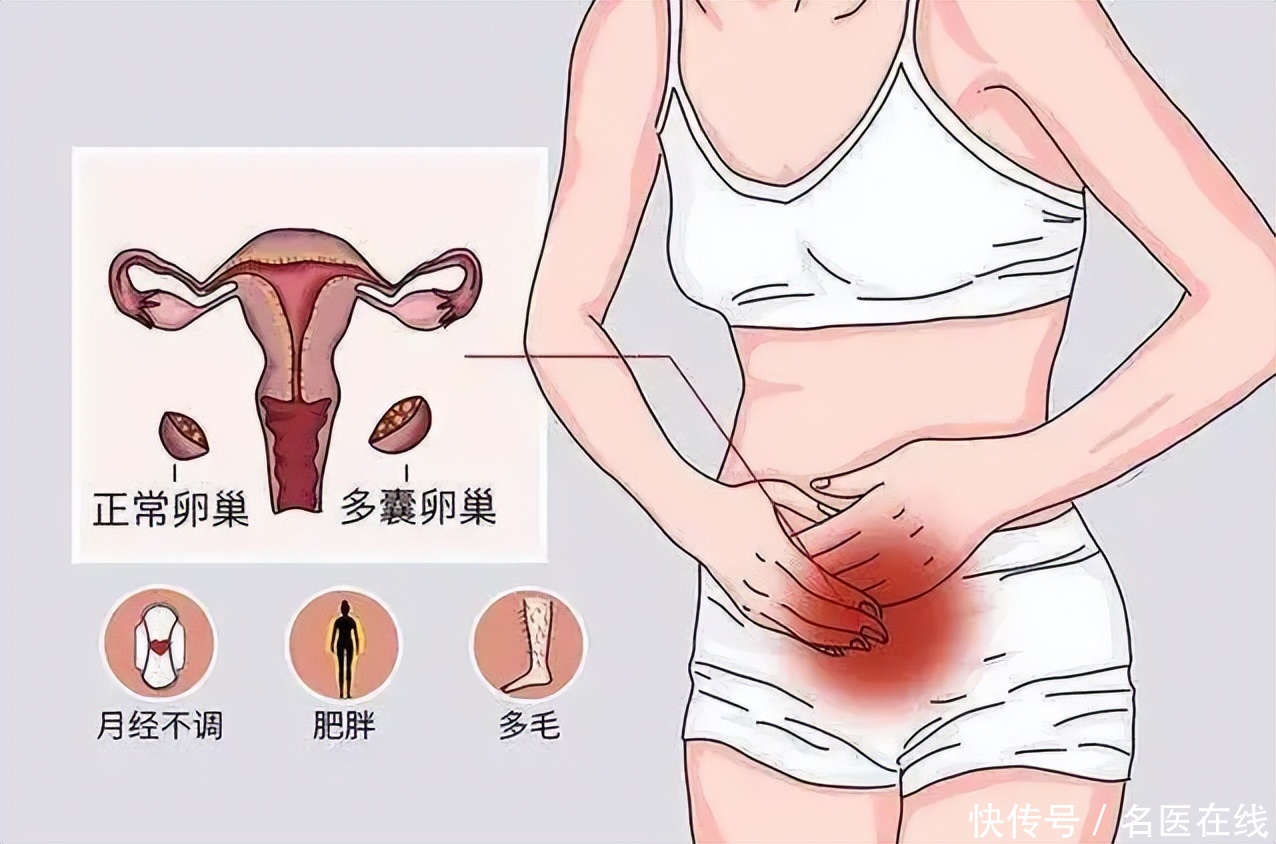 (解说一下)辽宁沈阳试管供卵哪家好(新闻联播快焦点)