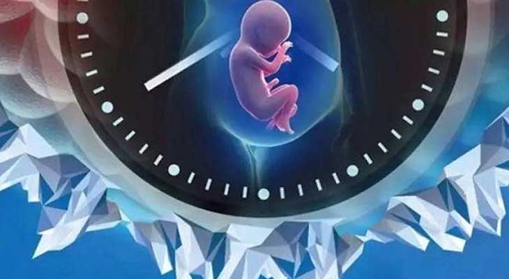 辽宁沈阳代怀供卵代生的医院排名（沈阳女人代生孩子犯法吗成功率最高的医院）