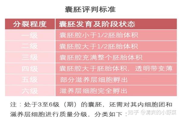 辽宁失独再生（辽宁三代代生供卵咨询医院）
