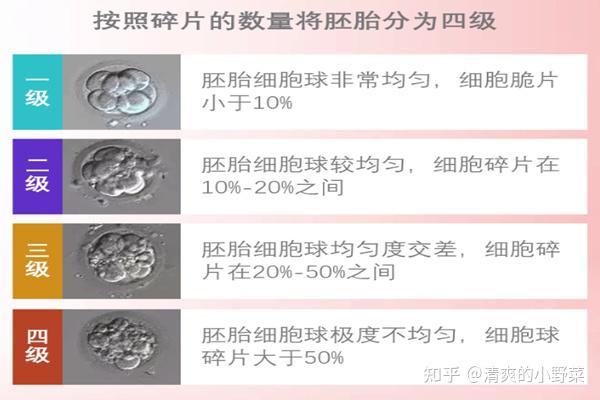 2024年沈阳区妇幼三代试管费用全流程下来的总费用是多少（试管费用明细一览）